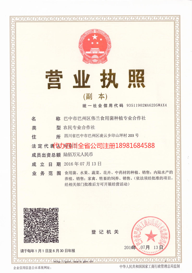 化州化州伟兰食用菌种植专业合作社